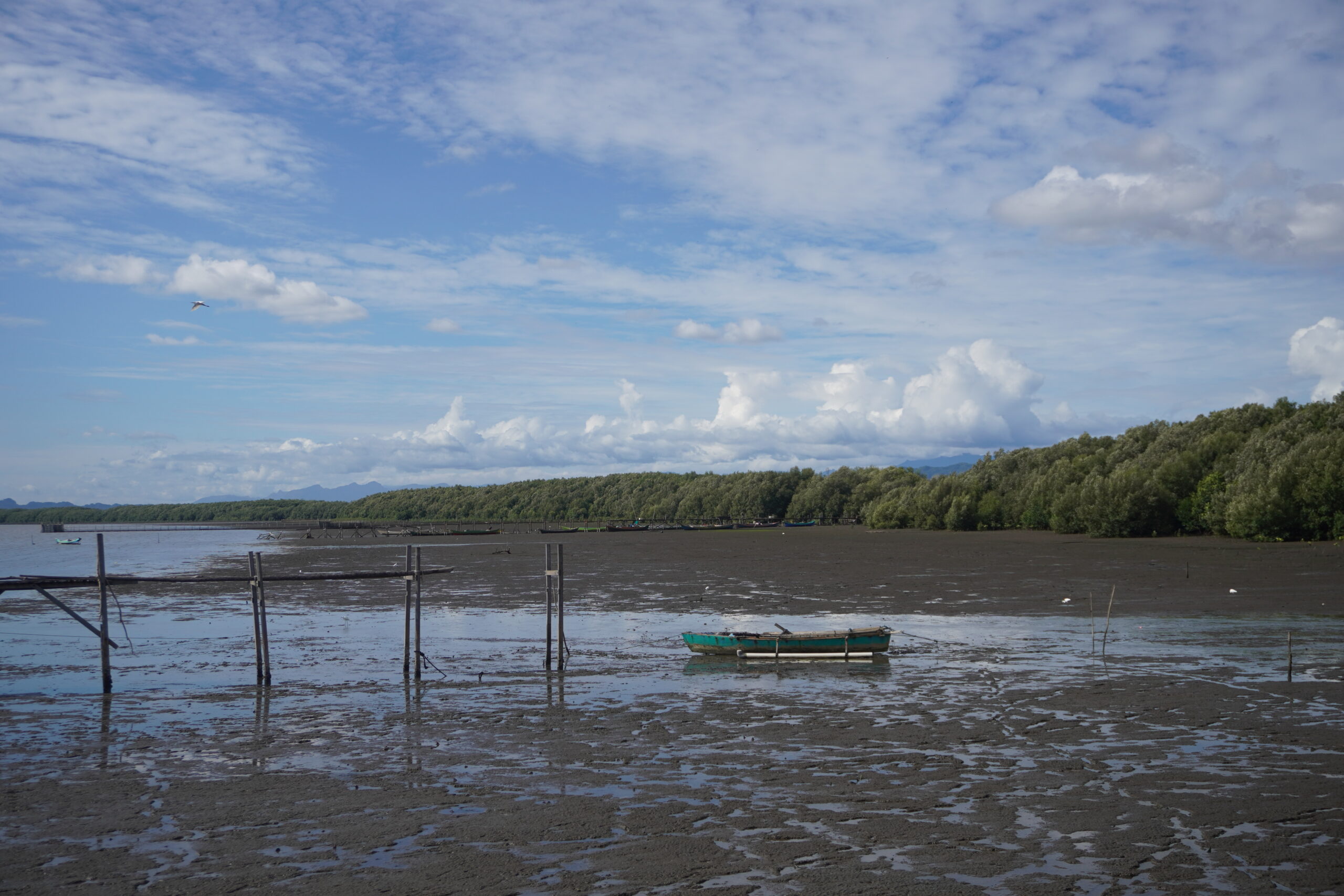 Picture of the Mangrove Tourism Village in Pajukukang Village by Shahzada Surya Ramadan